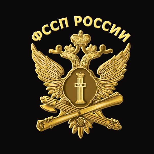 Отпечаток (влияние) СВО (специальной военной операции) на состояние исполнительного производства