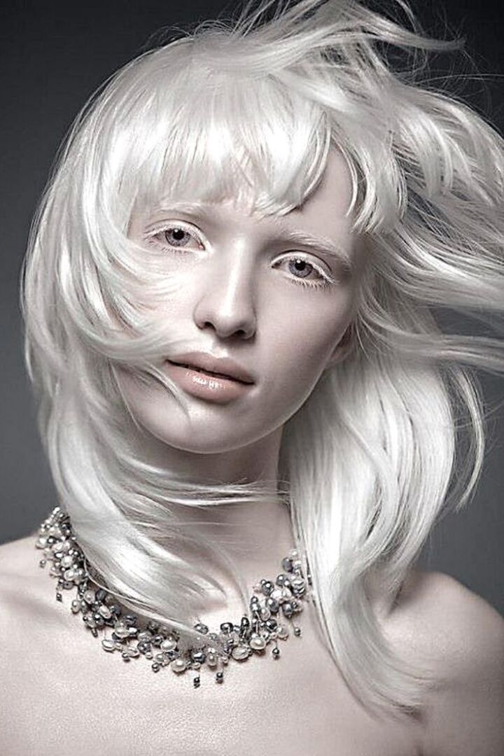 Почему ласковая кошечка внезапно проявила агрессию и убежала. Альбиносы