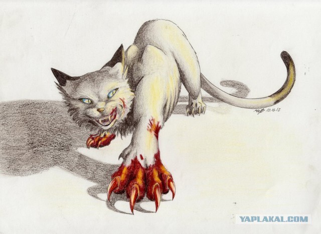 Почему во всех добрых диснеевских фильмах кот это символ Зла и атрибут злодея ?