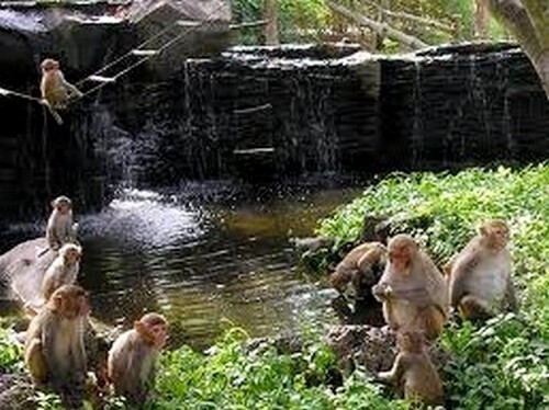 Я хочу в путешествие к тайнам Востока, а вы?