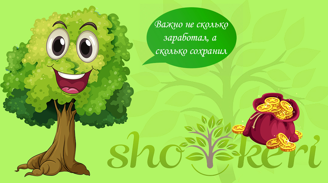 Как звучит золотое правило бюджета, которое подойдет для любого дохода