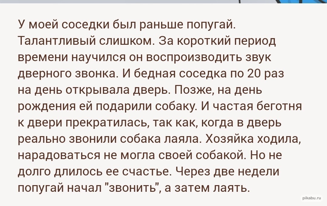 Если у вас нет собаки – вам за неё не платить