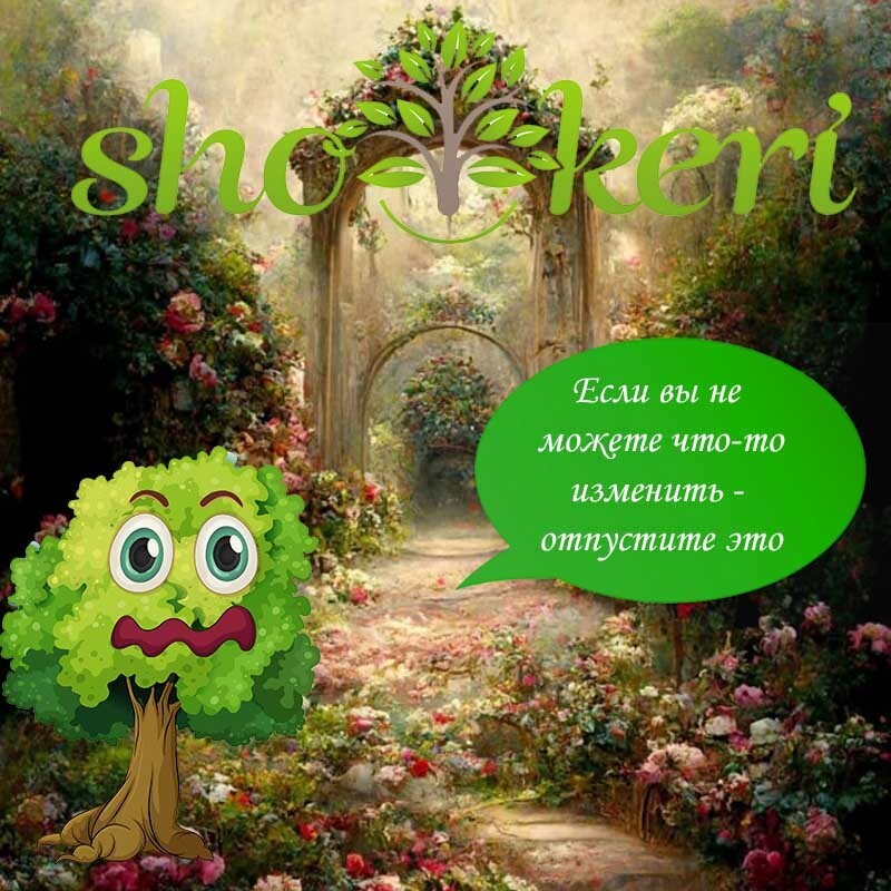 Как звучит золотое правило бюджета, которое подойдет для любого дохода