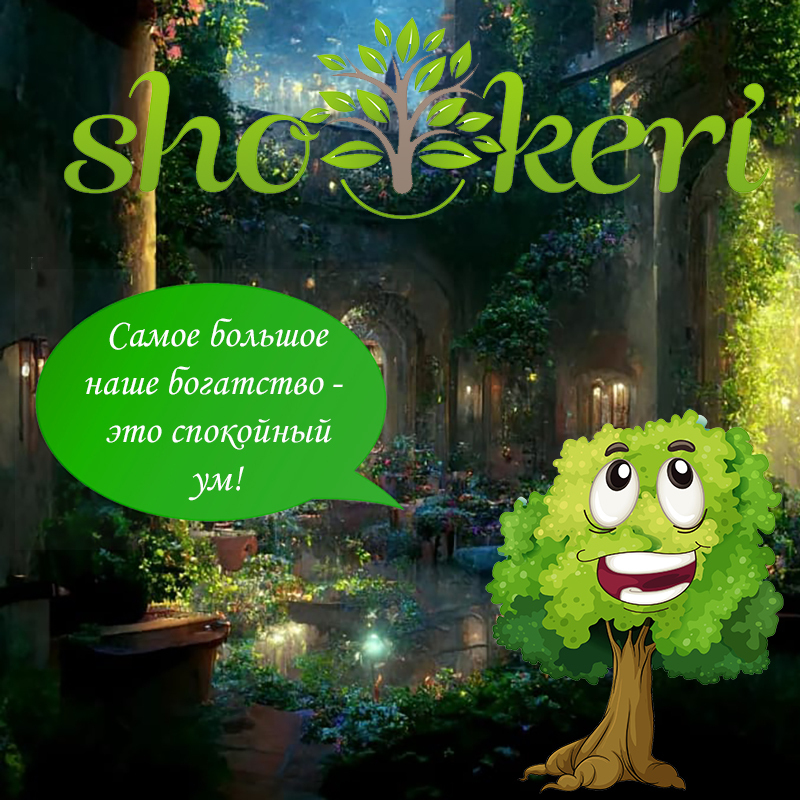 Почему для экономии денег важно ставить цели?