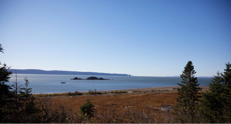 Кто выиграет гонку за выработку электроэнергии из океанских приливов?