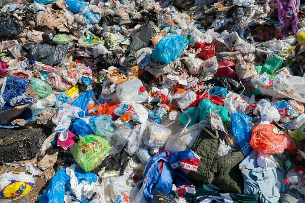 Мир находится на пути к прогрессу в борьбе с пищевыми отходами