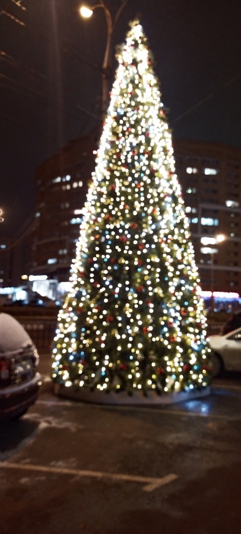 Дождались! Первый снег! И уже наряжаем елки!