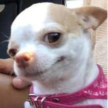 Дарья, г. Краснодар