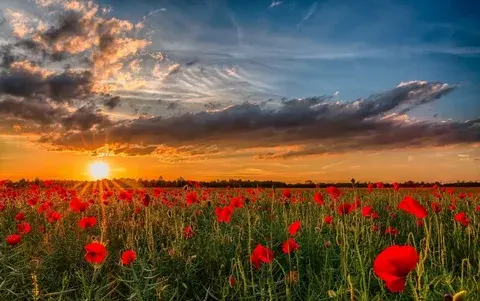 Закаты дня и жизни - явление природы.