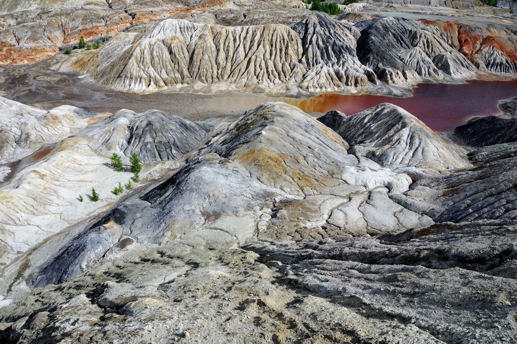 Высадился на Марсе