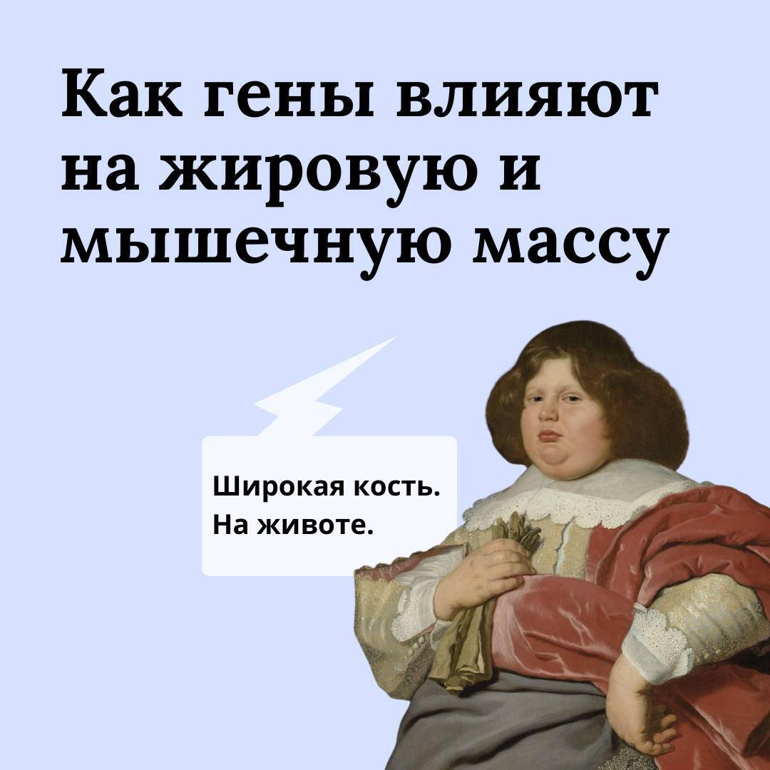 Как гены влияют на жировую и мышечную кость