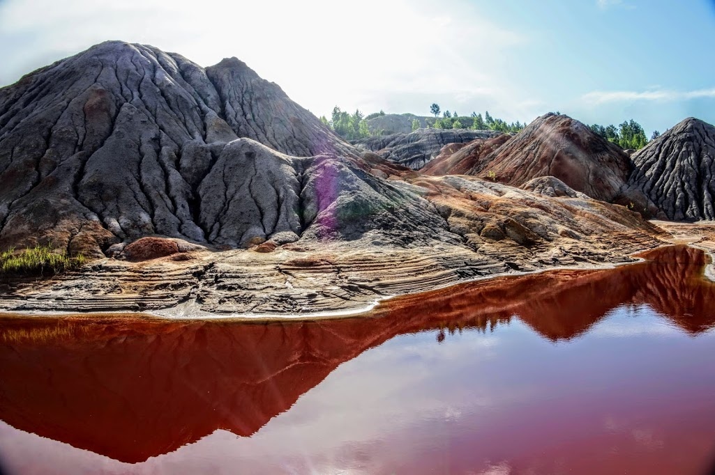 Высадился на Марсе