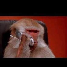 News around@Russia, г. Иркутск