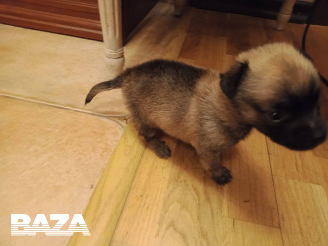 Резонансное и очень подлое ограбление в Москве...