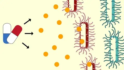 Микроорганизмы: Устойчивые микробы