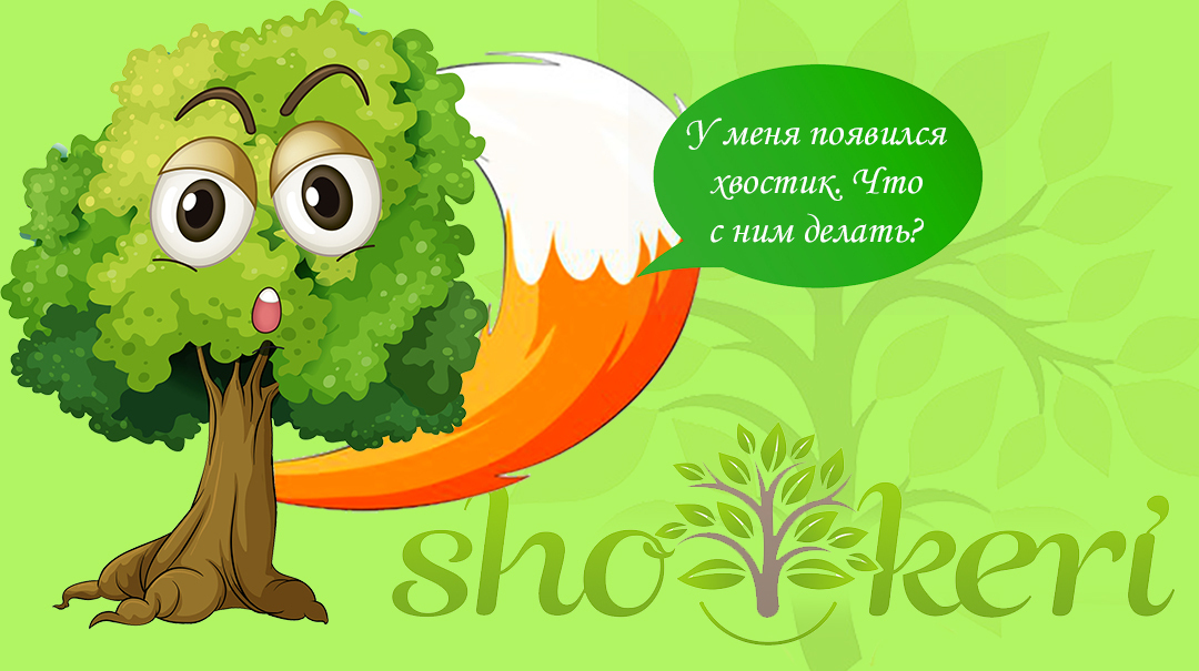 Как выглядит система накопления "Хвостики"