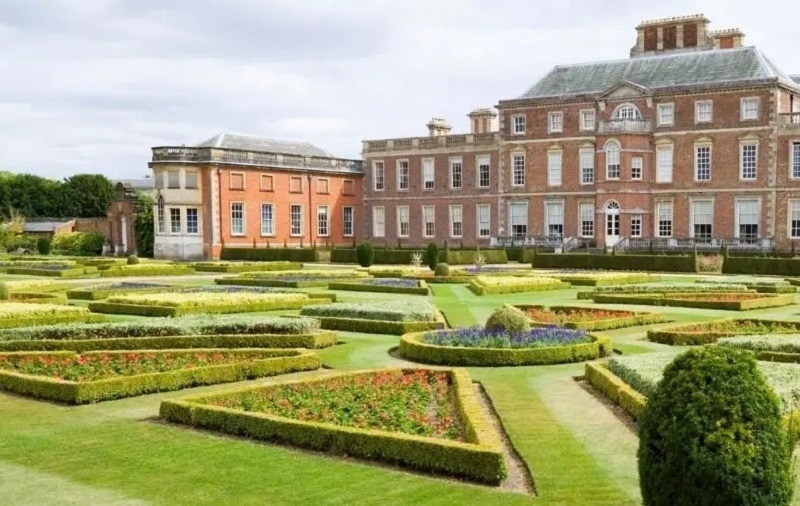 Лучшие растения для невысоких живых изгородей