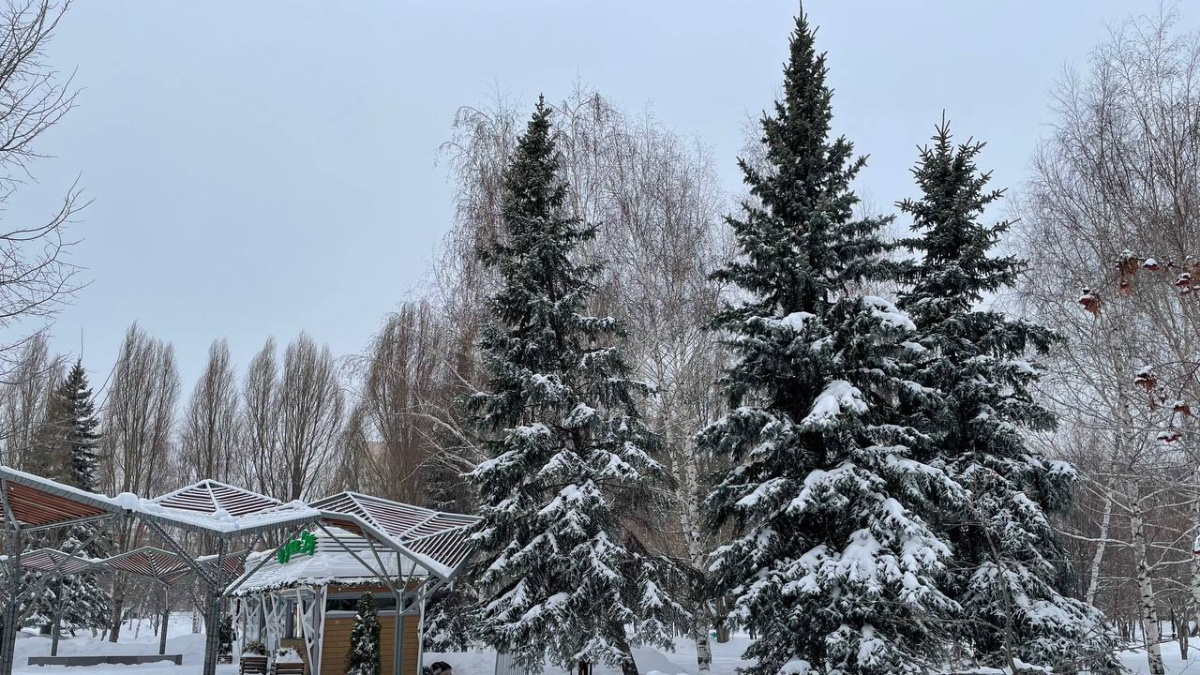 Приметы на 27 ноября: что нельзя делать в день Филипповки? Чтобы не лишиться здоровья и удачи с 2022