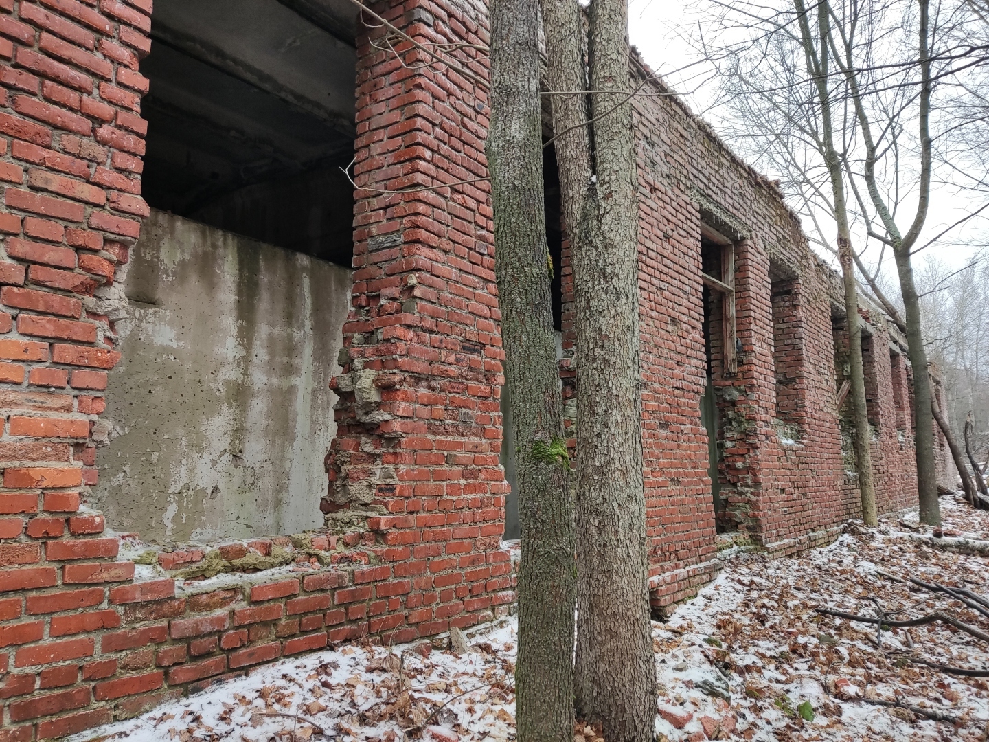 Канализационный ручеёк или Ясеновая от слова "Ясень"?...