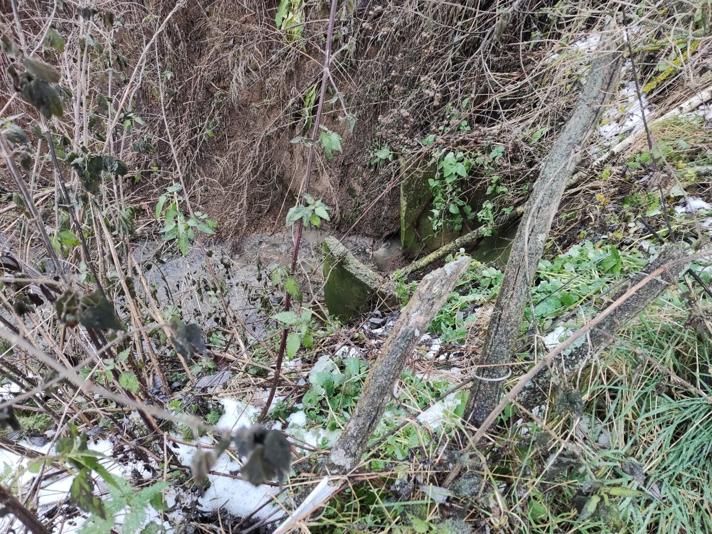 Канализационный ручеёк или Ясеновая от слова "Ясень"?...