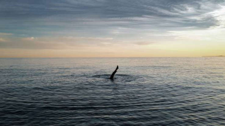 Пять ложных мифов, в которых вы были убеждены, что они правдивы!