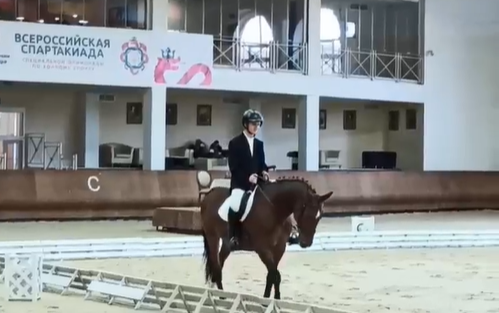 Наши гнедые на соревнованиях для людей с ограниченными возможностями