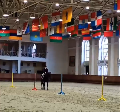 Наши гнедые на соревнованиях для людей с ограниченными возможностями