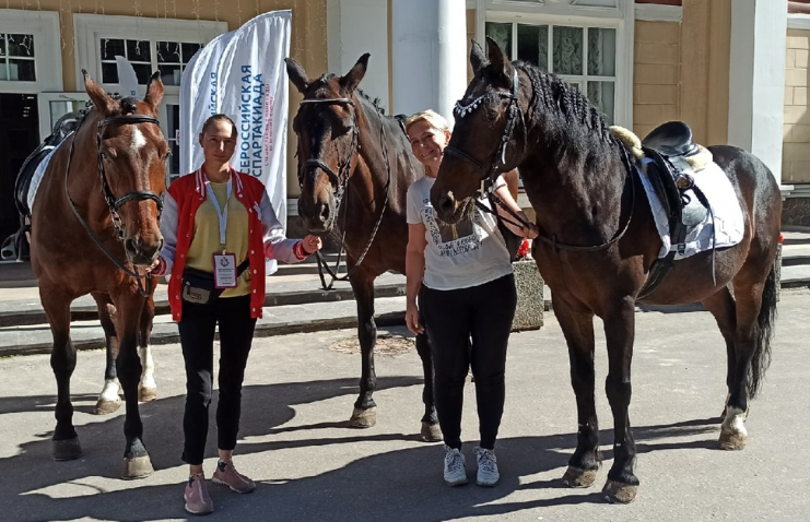 Наши гнедые на соревнованиях для людей с ограниченными возможностями