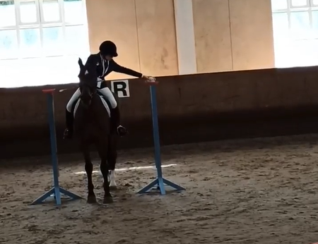 Наши гнедые на соревнованиях для людей с ограниченными возможностями