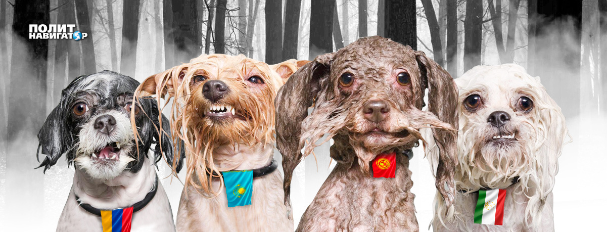 Прекратите проституцию – Батька.