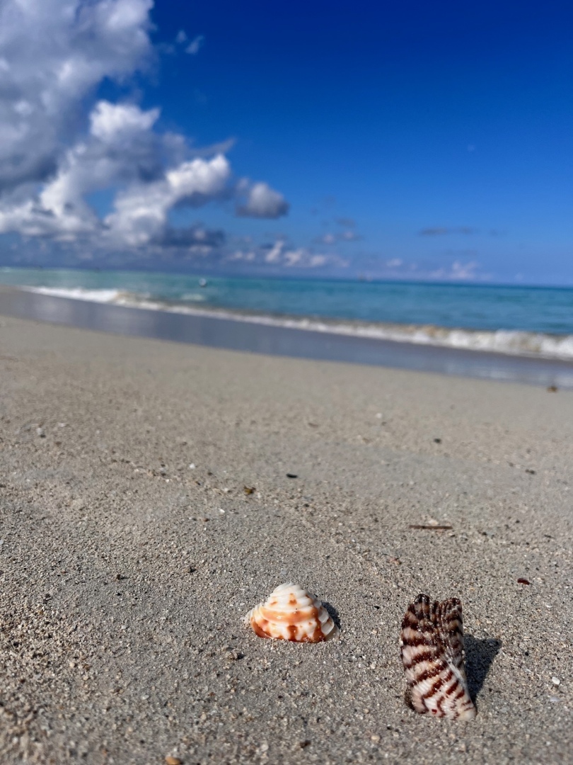 Женский взгляд на то, как влюбляются мужчины, или Курортный нероман