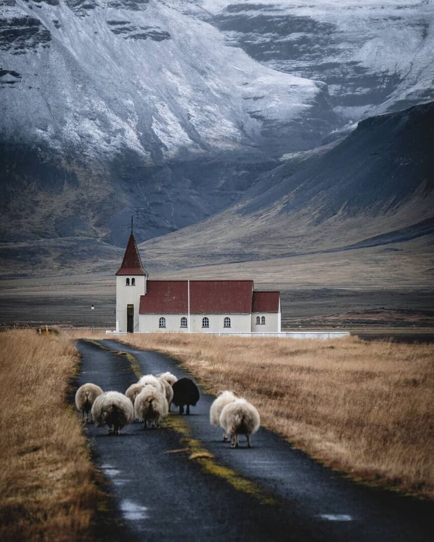 исландия википедия климат