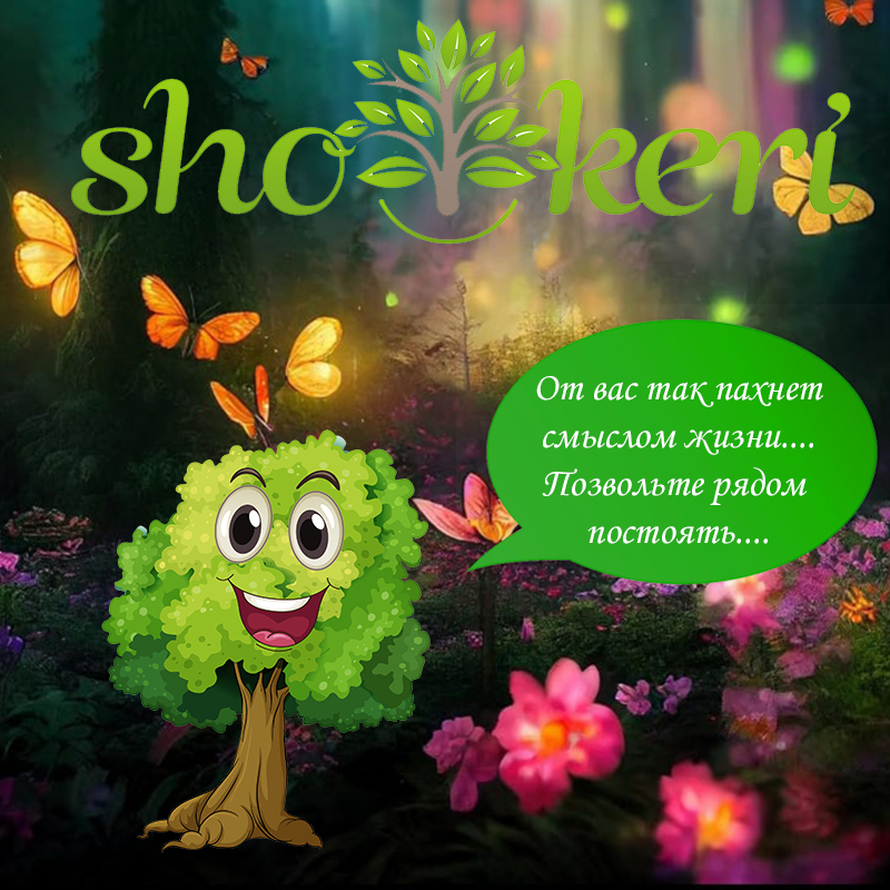 Какие можно перенять привычки у успешных людей