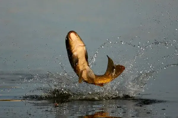 Этикет рыболова: что нужно знать