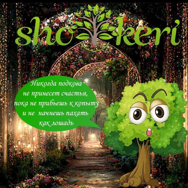 Какие мы используем правила, чтобы избежать импульсной покупки