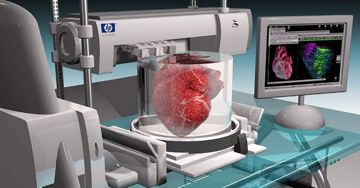 Органов для трансплантации слишком мало. Будет ли возможно в будущем выращивать человеческие органы в лаборатории?