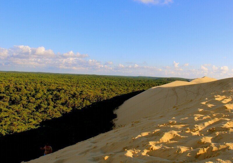 Как во Франции могла появиться такая огромная пустыня