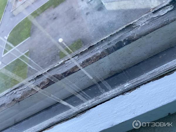 Детская больница. Куда уходят деньги? А мы всё платим налоги...