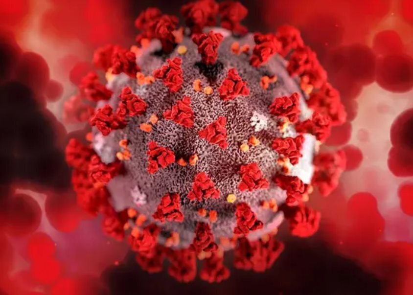 Бывший научный сотрудник компании Pfizer раскрывает великую аферу с COVID-19