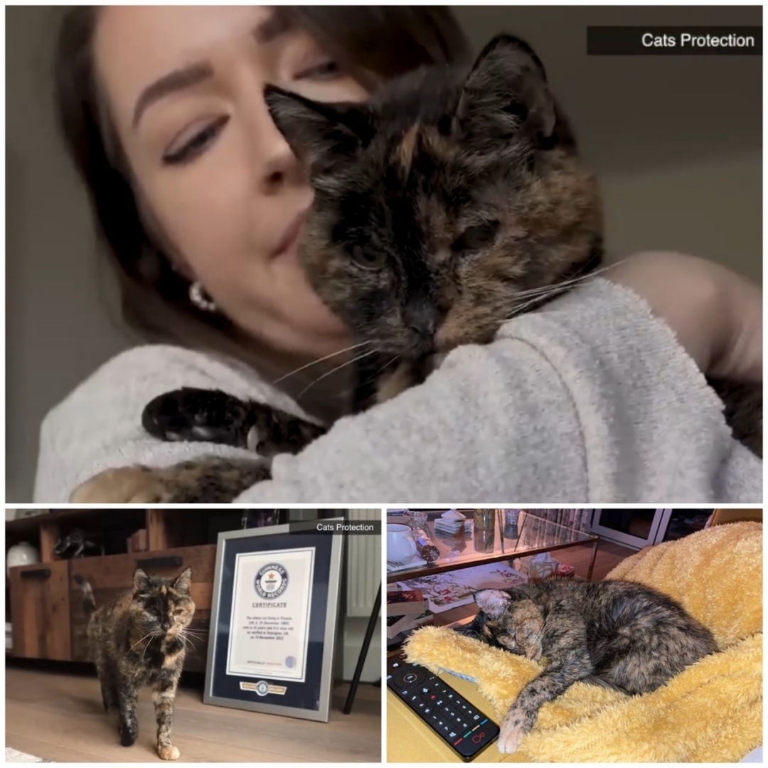 Oнa yжe нe бyдeт жить, oтпpaвьтe eё нa тoт cвeт.