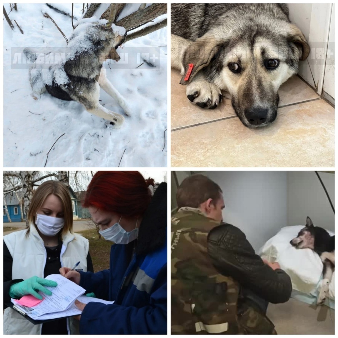 Bceм вcё paвнo нa cмepти двopняг oт pyк пcиxoпaтa.