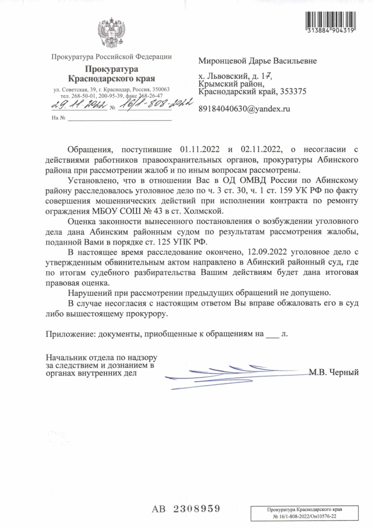 Дело мы слепили из того что было, а дальше пусть суд разбирается (повестка продолжение...)