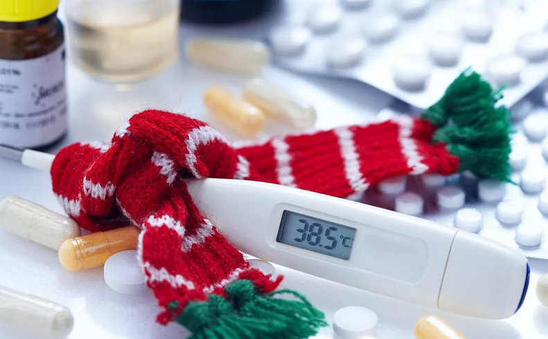 Дистанционка с 15 декабря 2022 года из-за ОРВИ, Ковида и свиного гриппа в школах России: введут дистант для школьников или нет? Последние подробности