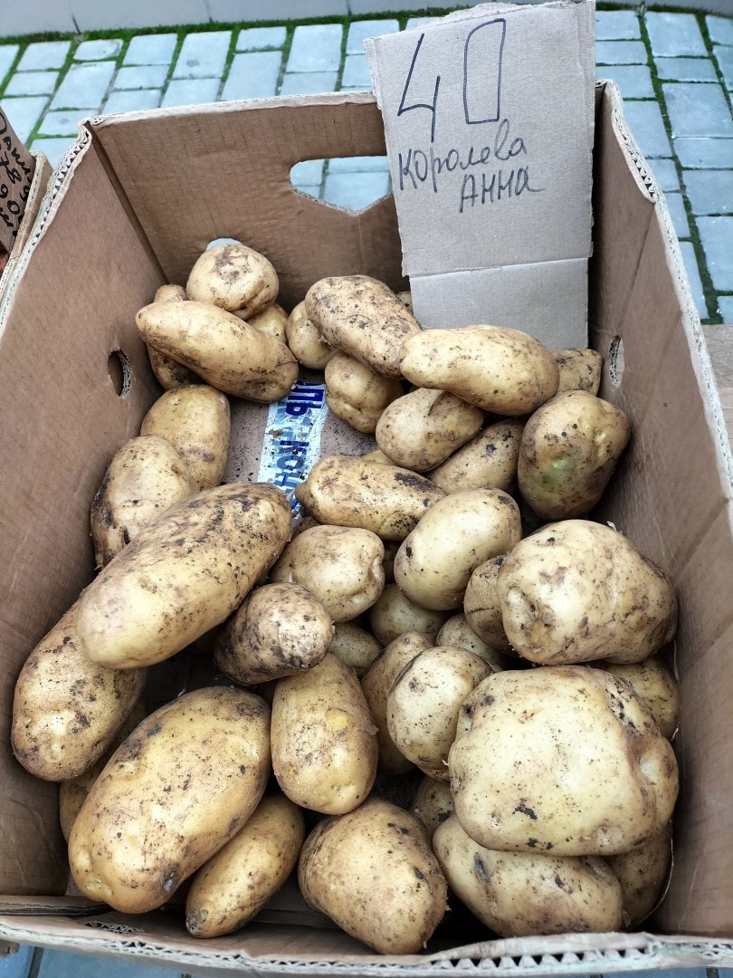 Мы в шоке от цен на местные овощи в Крыму в декабре. Они "золотые". Фото с рынка