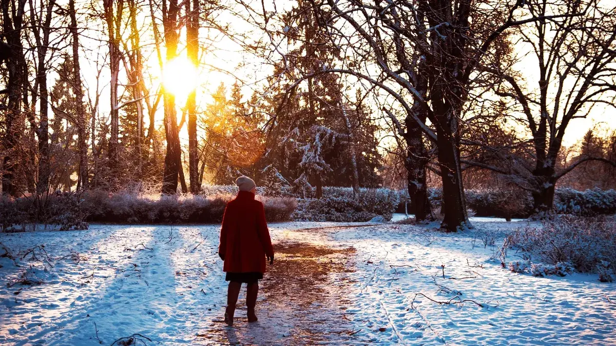 В регионы России вернутся снегопады, ледяные дожди и гололед в декабре 2022: погода в Сибири, Москве, Петербурге и Дальнем Востоке