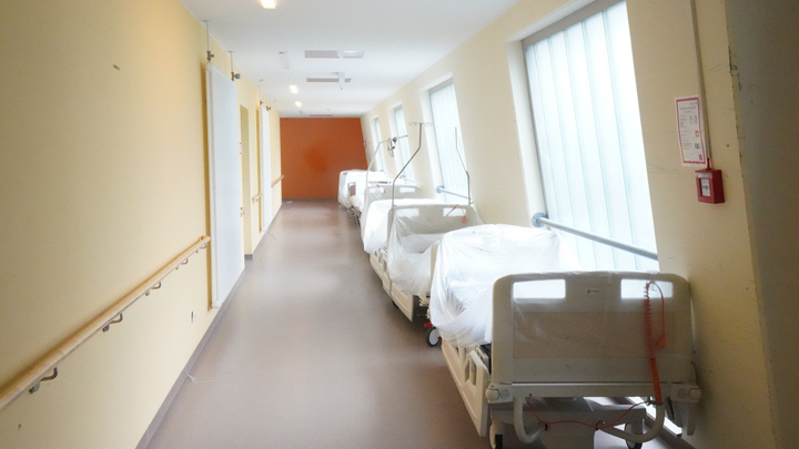 8 симптомов свиного гриппа назвал доктор Мясников