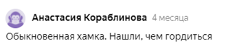 Яндекс Дзен славится токсичными комментаторами. Как меня называли «хамкой», «яжематерью» и хотели упечь в психушку