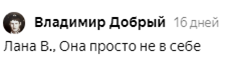 Яндекс Дзен славится токсичными комментаторами. Как меня называли «хамкой», «яжематерью» и хотели упечь в психушку