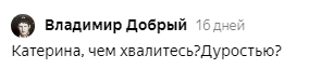 Яндекс Дзен славится токсичными комментаторами. Как меня называли «хамкой», «яжематерью» и хотели упечь в психушку