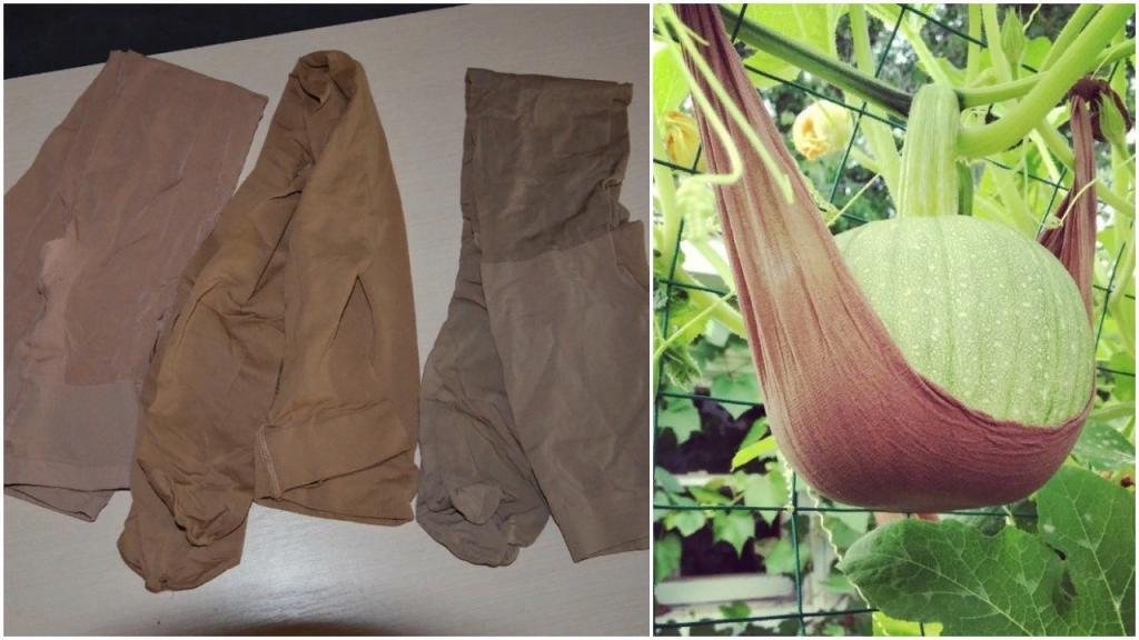 Вторая жизнь старых рваных колготок: не стоит отправлять их на свалку, они ещё могут пригодиться